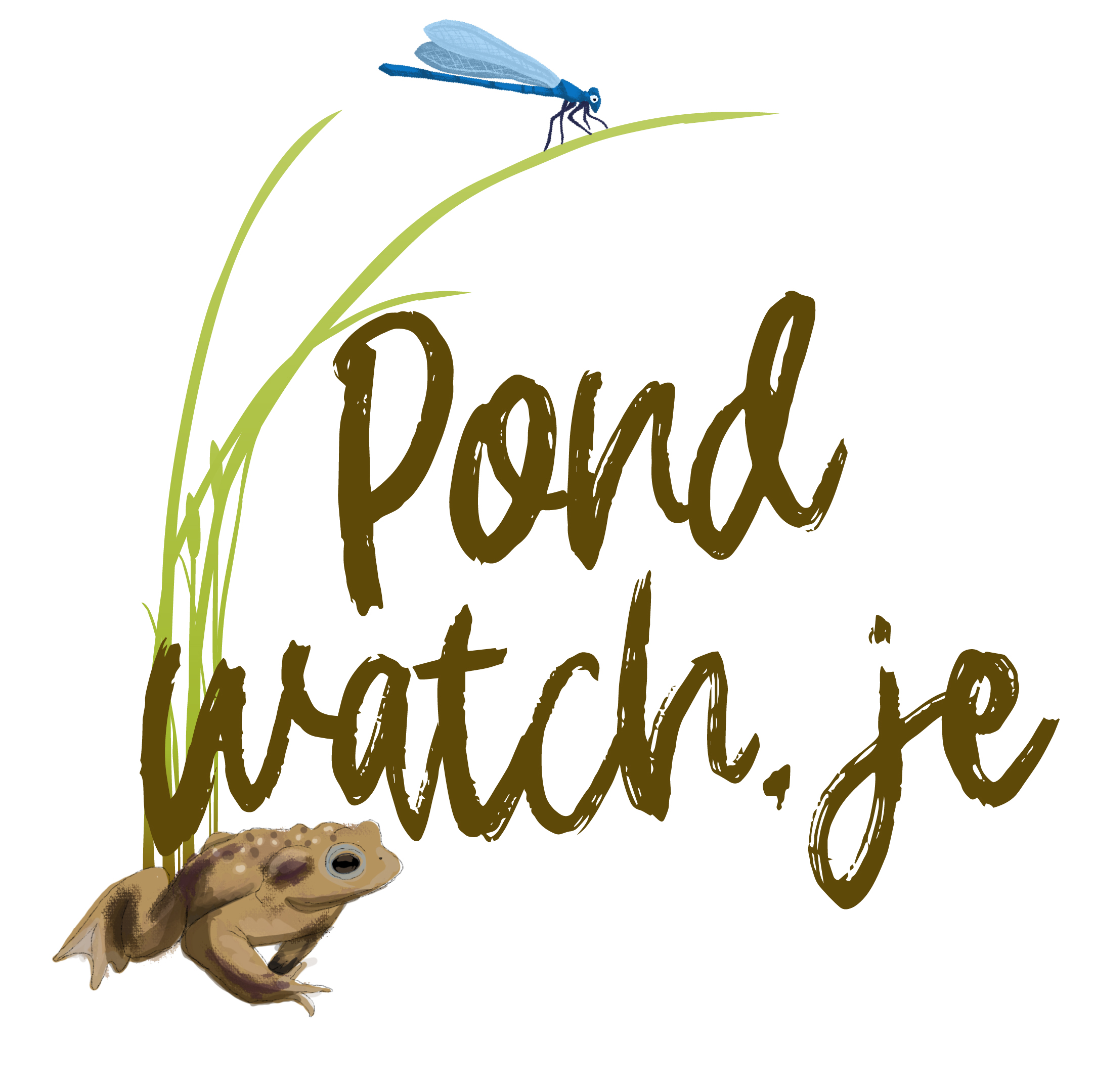 pondwatch logo
