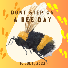 Don't step on a bee day