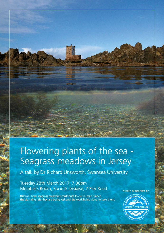 seagrass talk poster