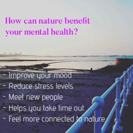 nature and mental health